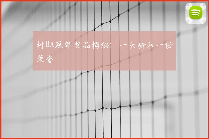村BA冠军奖品揭秘：一头猪和一份荣誉